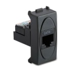 MASTER - MODO PRESA RJ45 CAT.6 NON SCHERMATA GRI