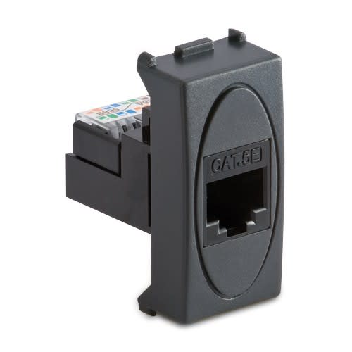 MASTER - MODO PRESA RJ45 PLUG 8-8 GRIGIO