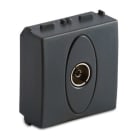 MASTER - MODO PRESA TV 9,5MM FINALE 2MOD.GRIGIO