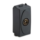 MASTER - MODO PRESA COAX IEC MASCHIO GRIGIO