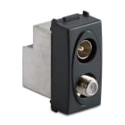 MASTER - MODO PR.COAX IEC-F MASCHIO-FEMMINA DIR.