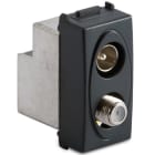 MASTER - PRESA COAX IEC-F MAS-FEM. DIRETTA GRIGIO