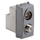 MASTER - PRESA COAX IEC-F MASCHIO-FEM.DIR STEEL