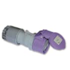 MASTER - PR.2P 16A 50/60HZ 24V IP44 VIOLA 24PR0201