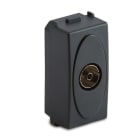 MASTER - MODO PRESA TV 9,5MM FINALE GRIGIO