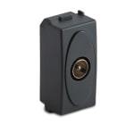 MASTER - MODO PRESA COAX IEC MASCHIO GRIGIO