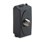 MASTER - MODO PRESA TV CONNETTORE IEC FEMMINA
