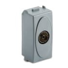 MASTER - STEEL PRESA TV 9,5MM FINALE 33254