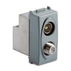 MASTER - STEEL PR.COAX IEC-F MASCHIO-FEMMINA DIR 33277-D