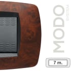 MASTER - MODO PLACCA 7 POSTI RADICA DI NOCE 39TC437