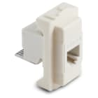 MASTER - PRESA RJ12 PLUG 6-4 6095