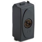 MASTER - PRESA TV 9,5MM PASS./FINALE MODO GRIGIO AS31255