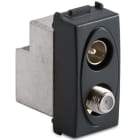 MASTER - PRESA COAX IEC-F MAS-FEM. DIRETTA GRIGIO