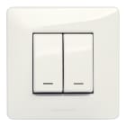 MASTER - 2 INTERRUTTORI 1P 16AX ILLUMINABIL BS21021