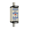 Miniatura Immagine principale 1