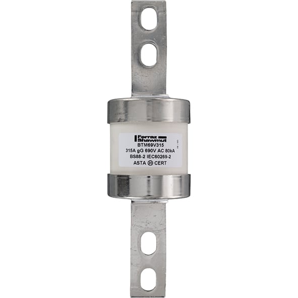 MERSEN - Fusibile BS IEC gM C1 690VAC 460VDC 315A BTM Targhetta imbullonata centrale