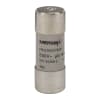 Miniatura Immagine principale 1
