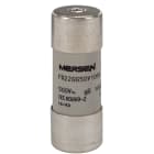 MERSEN - Fusibile cilindrico gG 22x58 CEI 500VAC 100A Con Percusorre