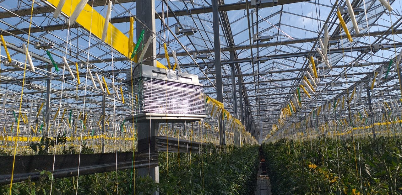 MO.EL - CRI CRI PCL 80W 230V AGRICOLTURA