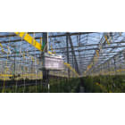 MO.EL - CRI CRI PCL 80W 230V AGRICOLTURA