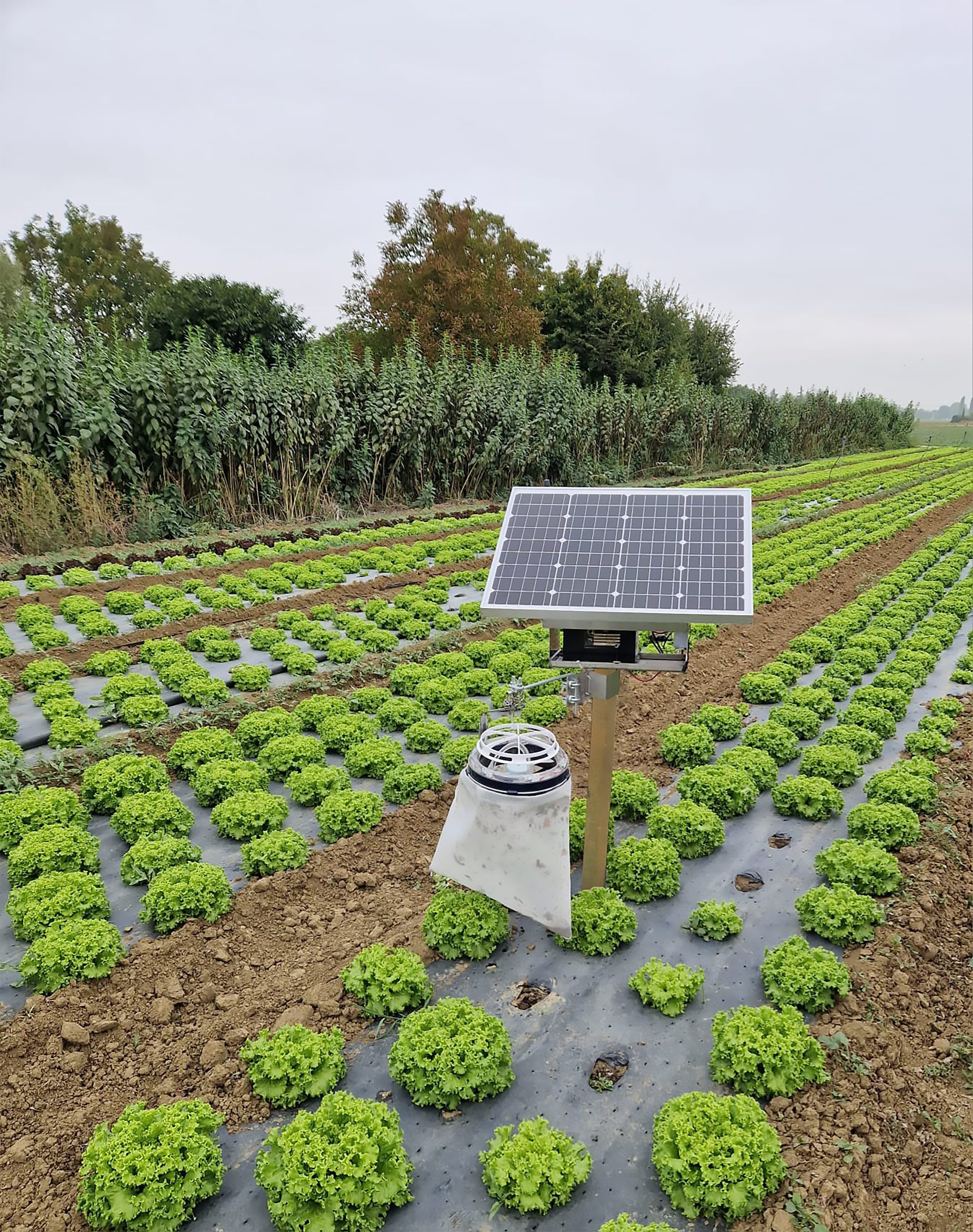 MO.EL - MOONLED PER FOTOVOLTAICO