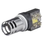 NEW ELFIN - GEMMA FUNGO BIANCA