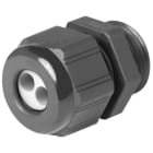 NEW ELFIN - SERRACAVI 2 X D6 M20