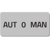 Miniatura Immagine principale 1
