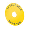 Miniatura Immagine principale 1