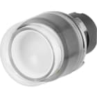 NEW ELFIN - PULSANTE LUM.SPORG.C.GOMMA INCOLORE
