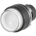 NEW ELFIN - PULSANTE LUM.SPORGENTE INCOLORE