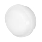 NEW ELFIN - GEMMA RASATA BIANCA