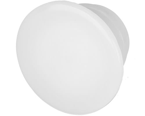 NEW ELFIN - GEMMA FUNGO BIANCA