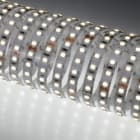 NOBILE ITALIA - STRIP 5M 10W/M 120LED/M 6K IP20 24V