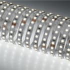 NOBILE ITALIA - STRIP 5M 15W/M 120LED/M 3K IP20 24V