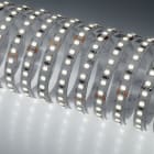 NOBILE ITALIA - STRIP 5M 7W/M 140LED/M 3K IP20 24V 70042/C