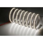 NOBILE ITALIA - STRIP 5M 14W/M 238LED/M 3K IP20 24V