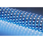 NOBILE ITALIA - STRIP 5M 14W/M 84LED/M RGB IP20 24V 80321/RGB