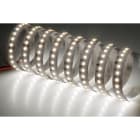NOBILE ITALIA - STRIP 5M 19,2W/M 128LED/M 2,7K IP20 24V