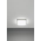 NOBILE ITALIA - PLAFONIERA 15W BIANCO DINAMICO 240V IP20