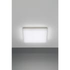 NOBILE ITALIA - PLAFONIERA 24W BIANCO DINAMICO 240V IP20