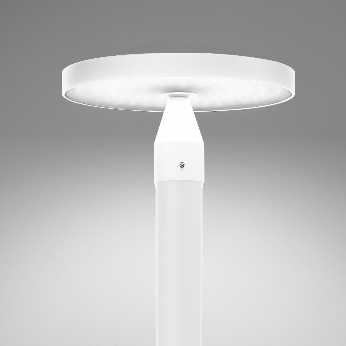 NOBILE ITALIA - PIN TESTAPALO 29W 4K IP65 BI