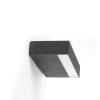 Miniatura Immagine principale 1
