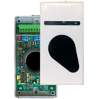 NOTIFIER - RIV. LIN. DI FUMO 5/100M