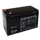 NOTIFIER - PACCO BATT 12 V 9 A/H