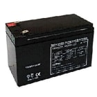NOTIFIER - PACCO BATT 12 V 9 A/H