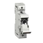 NOTIFIER - KIT FUSE 100A W. FUSEHOLDER