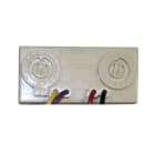 NOTIFIER - MINI MOD. IND. 1IN OPAL