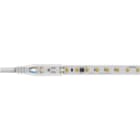 NOVALUX - STRIP LED 230VAC: 9,8W/M - 50M - 3K