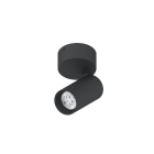 NOVALUX - SPYGLASS: PAR. 9W F36 3K CRI90 NE